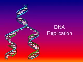 DNA Replication