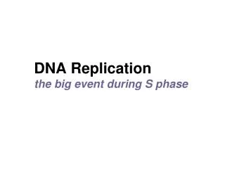 DNA Replication the big event during S phase