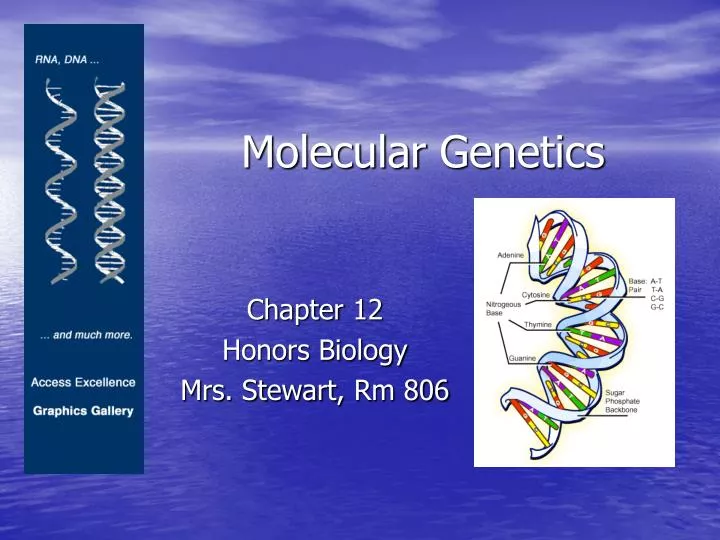 molecular genetics