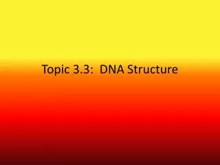 Topic 3.3: DNA Structure