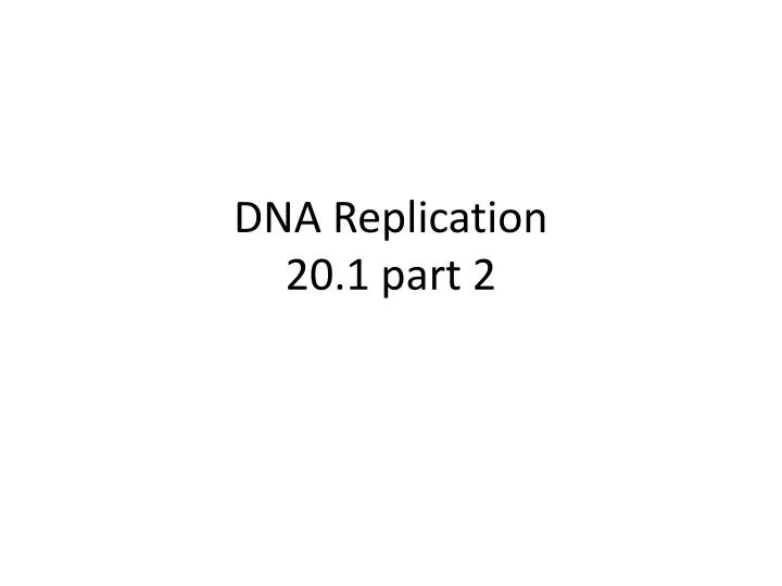 dna replication 20 1 part 2