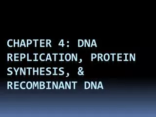 Chapter 4: DNA Replication, Protein synthesis, &amp; Recombinant dNA
