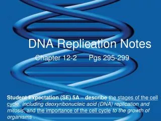 DNA Replication Notes