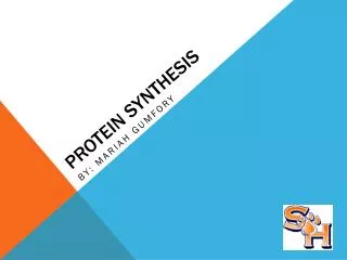 PROTEIN SYNTHESIS