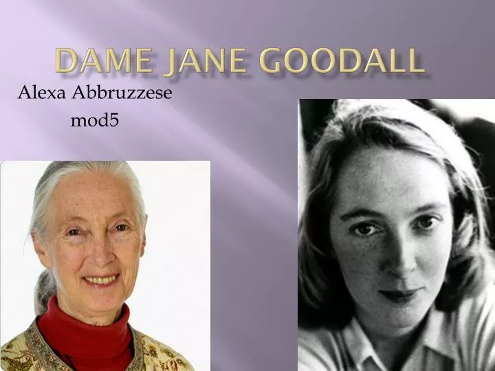 dame jane goodall