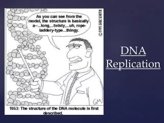 dna replication