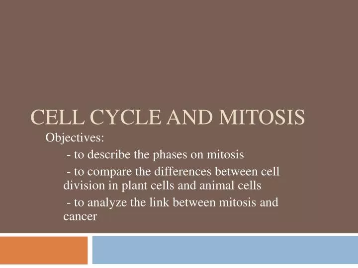 cell cycle and mitosis