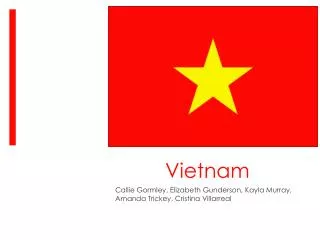 Vietnam