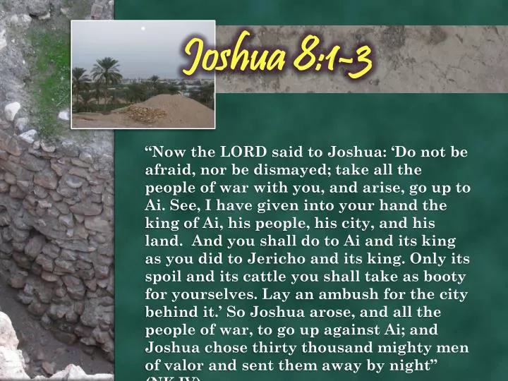 joshua 8 1 3