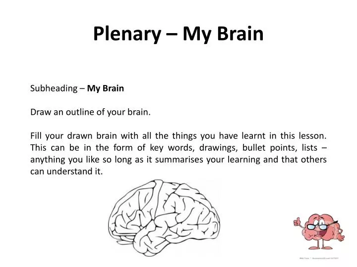 plenary my brain