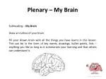 Plenary – My Brain - slide 1
