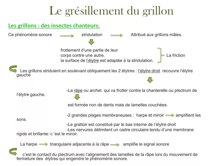 le gr sillement du grillon