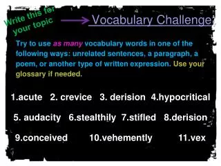 Vocabulary Challenge