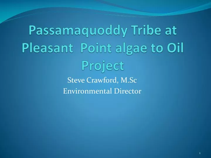 passamaquoddy tribe at pleasant point algae to oil project