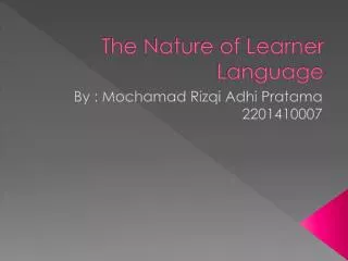 The Nature of Learner Language
