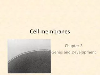 Cell membranes