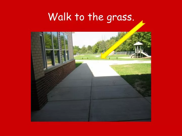 walk to the grass
