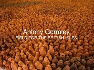 Antony Gormley FIELD FOR THE BRITISH ISLES
