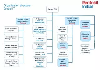 Organisation structure Global IT