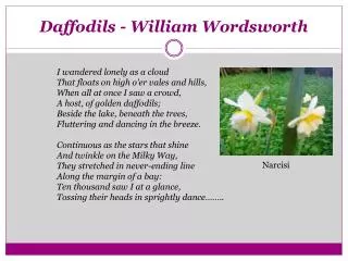 Daffodils - William Wordsworth