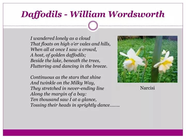 daffodils william wordsworth