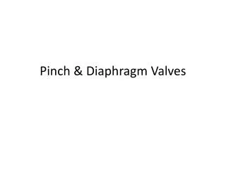 Pinch &amp; Diaphragm Valves