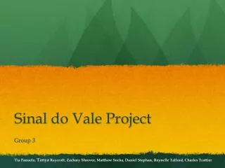 Sinal do Vale Project