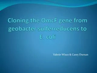 Cloning the OmcF gene from geobacter sulferreducens to E. coli