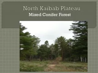 North Kaibab Plateau