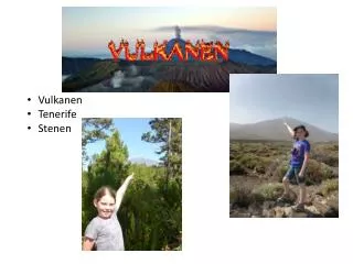 Vulkanen Tenerife Stenen