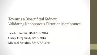 Towards a Bioartificial Kidney: Validating Nanoporous Filtration Membranes