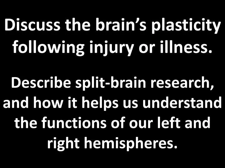 discuss the brain s plasticity following injury or illness