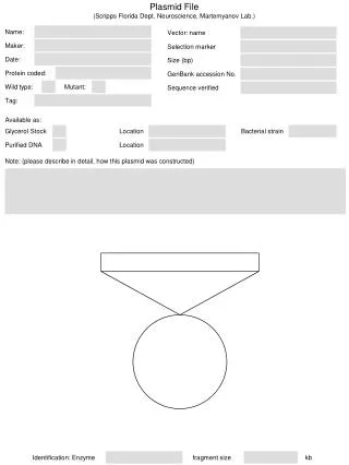 Plasmid File (Scripps Florida Dept . Neuroscience , Martemyanov Lab.)