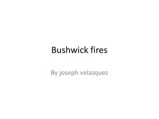 Bushwick fires