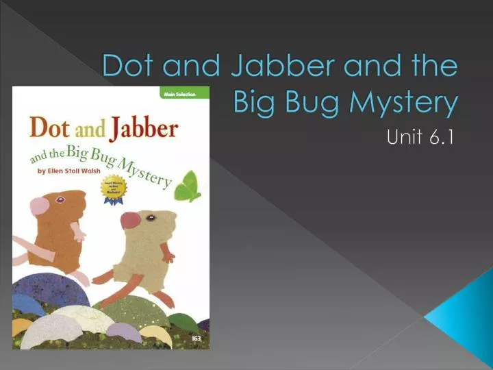 dot and jabber and the big bug mystery
