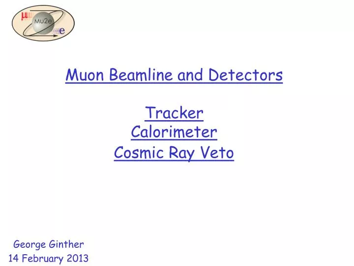 muon beamline and detectors tracker calorimeter cosmic ray veto
