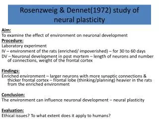 Rosenzweig &amp; Dennet (1972) study of neural plasticity