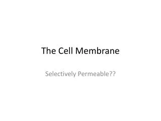 The Cell Membrane