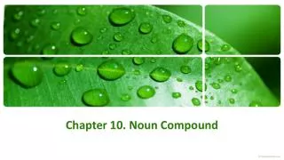 Chapter 10. Noun Compound