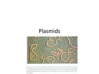 Plasmids