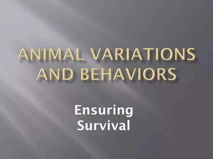 animal variations and behaviors