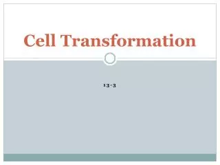 cell transformation
