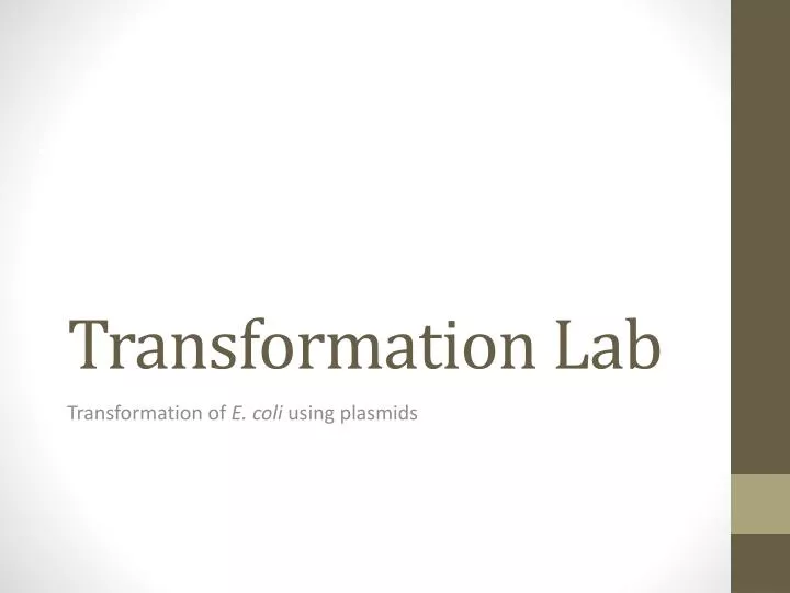 transformation lab