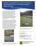Disease-Resistant American Elms Planted in Monongahela National Forest Administrative Sites - slide 1