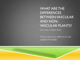 What are the differences between Vascular and non-Vascular Plants?