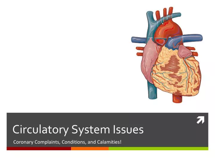 circulatory system issues