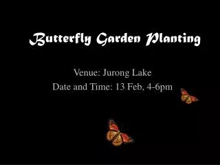 Butterfly Garden Planting