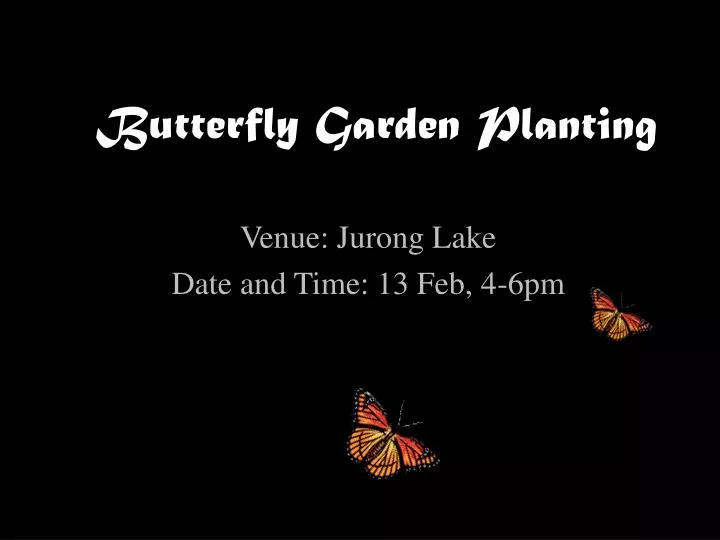 butterfly garden planting
