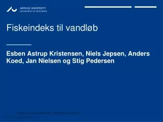 fiskeindeks til vandl b