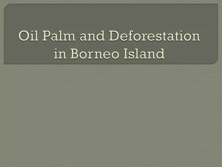 oil palm and deforestation in borneo island